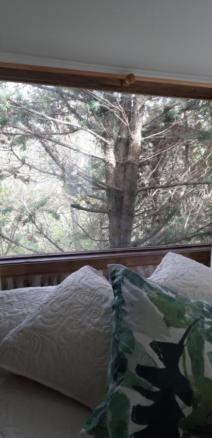 Eco Cabana 푸에르토바라스 외부 사진