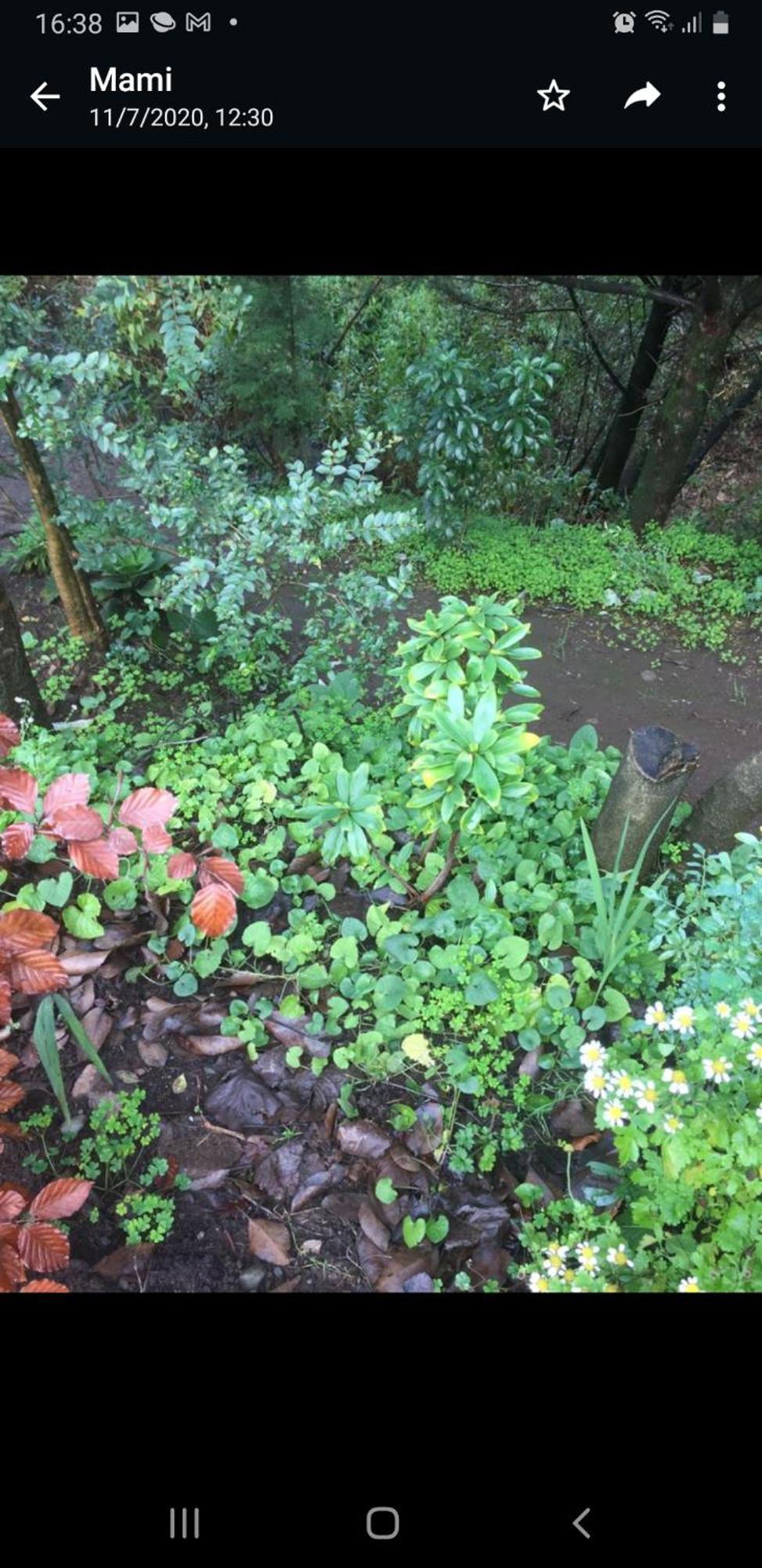 Eco Cabana 푸에르토바라스 외부 사진